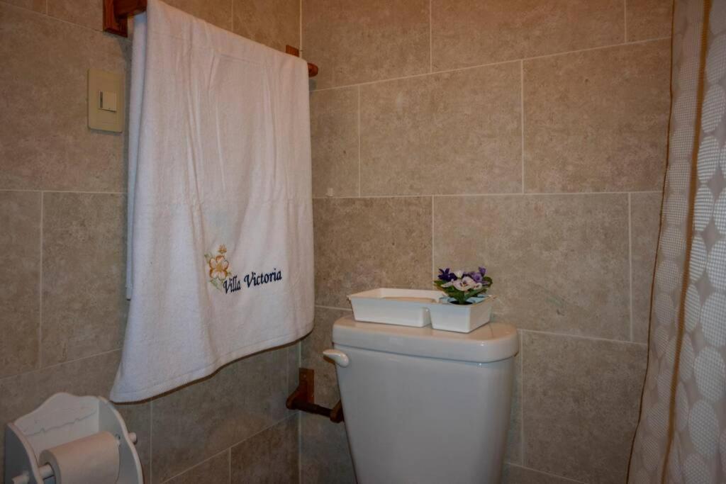 Villa Victoria Jarabacoa Εξωτερικό φωτογραφία