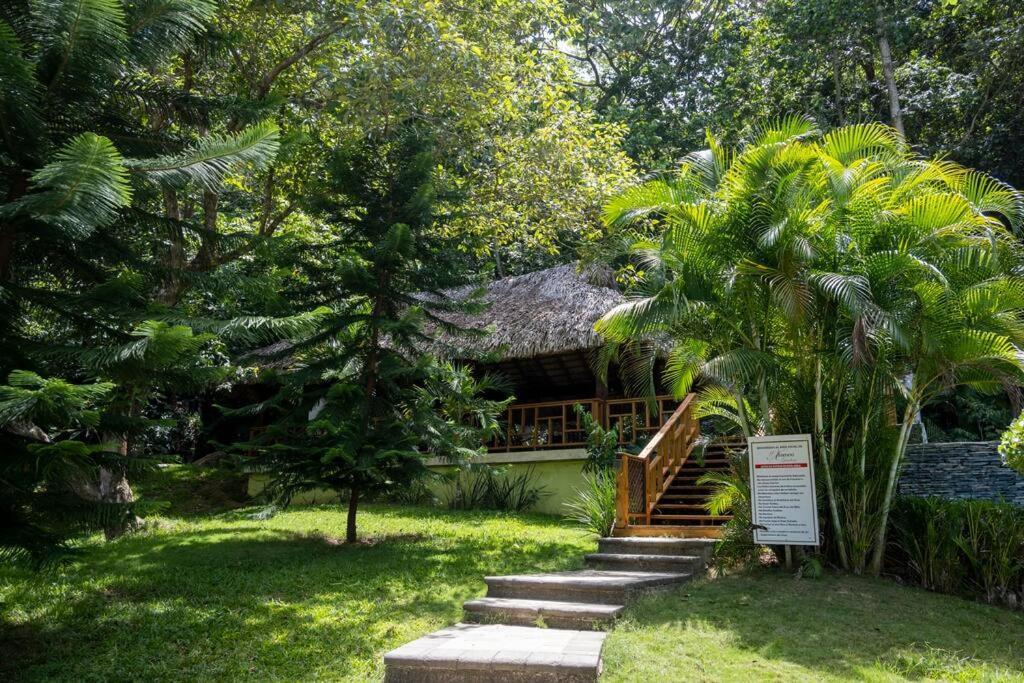 Villa Victoria Jarabacoa Εξωτερικό φωτογραφία